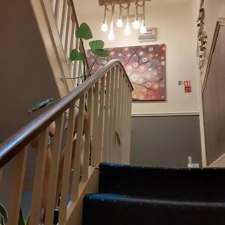 Inspiro House2 ゲストハウス